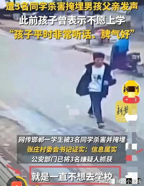 邯郸事件最新爆料,惊人内幕曝光,真相令人震惊! 第2张 邯郸事件最新爆料,惊人内幕曝光,真相令人震惊! 第2张